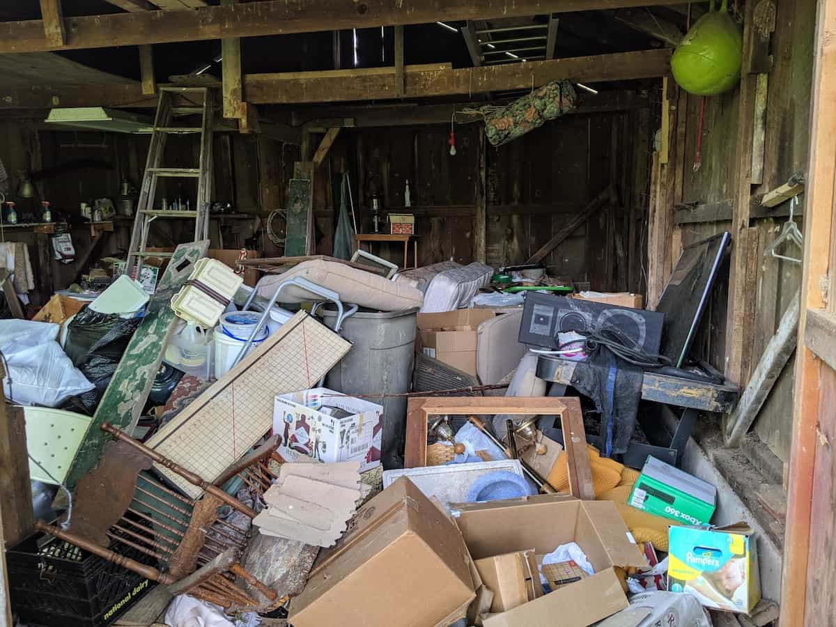 Hoarding cleanup transformation photos